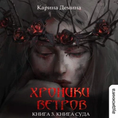 Книга суда - Карина Демина