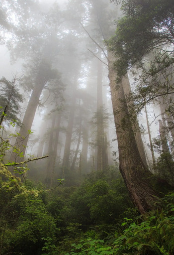 Жизнь – боль - Хайдарали Усманов (7)