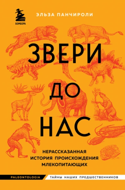 Звери до нас. Нерассказанная история происхождения млекопитающих - Эльза Панчироли