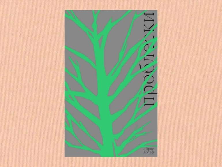 Главные литературные новинки – подборка самых ожидаемых книг 2026 года. Фото №23